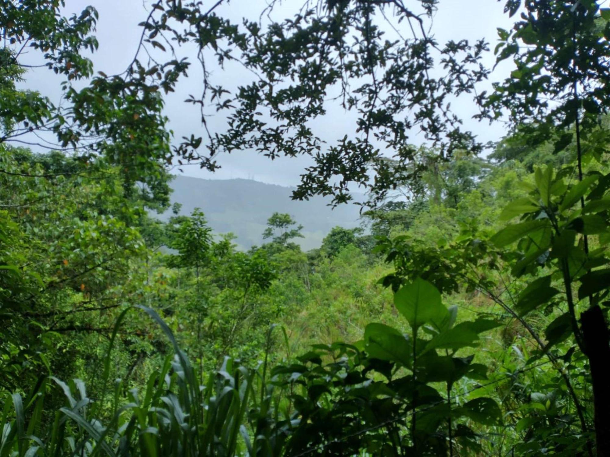Best Western Hotel & Casino Kamuk Manuel Antonio Bagian luar foto